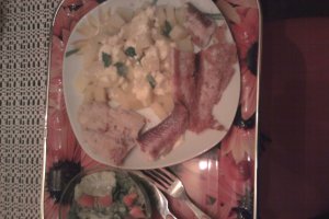 PANGASIUS LA GRATAR CU SOS SI SALATA