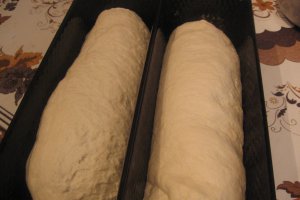 Paine de casa
