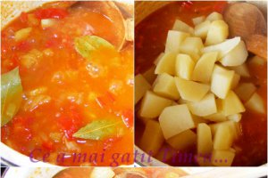 Tocana de legume