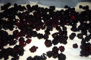 Placinta cu iaurt si fructe de padure