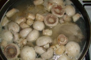 Ciulama cu pui, ciuperci si usturoi