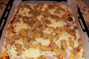 Pizza