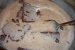 Tort de ciocolata cu alune de padure-6