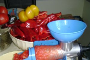 Ketchup Panacris
