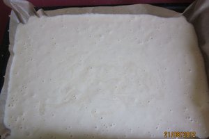 Prajitura cu prune Panacris