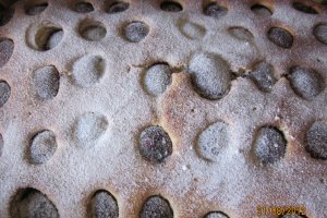 Prajitura cu prune Panacris