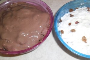 Inghetata din iaurt natural si pulpa de fructe