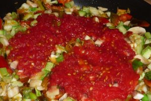Lasagna vegetariana