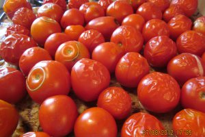 Bulion Panacris