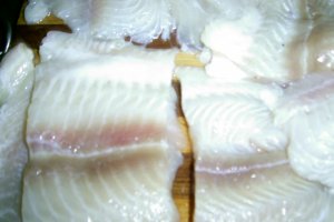 PANGASIUS  CU  CRUSTA  MSM  LA  CUPTOR