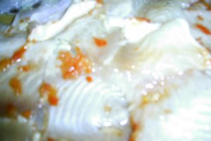 PANGASIUS  CU  CRUSTA  MSM  LA  CUPTOR