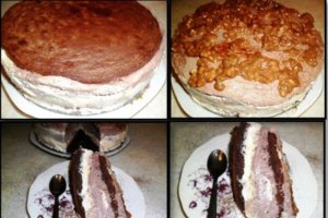 Tort  cu crema de pepene galben si cacao "de ziua Diei"