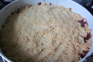 Crumble Panacris