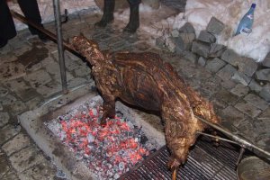 Berbec la proţap