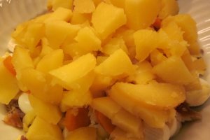 Salata speciala Panacris