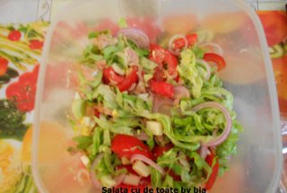 Salata cu de toate