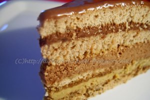 Tort Opera