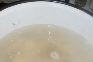 Ravioli cu branza