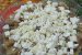 Pizza din omleta-5