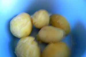Galuste [gomboti ] cu nectarine