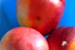 Galuste [gomboti ] cu nectarine