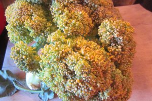 Broccoli si miez de lapte