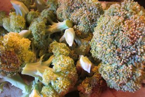 Broccoli si miez de lapte