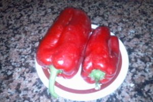 Gazpacho Manchego