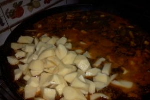 Suc De Anquillas (Tocanita  de Anqila)