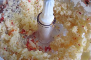 Ketchup Panacris 2