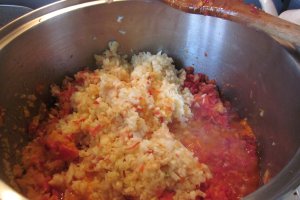 Ketchup Panacris 2