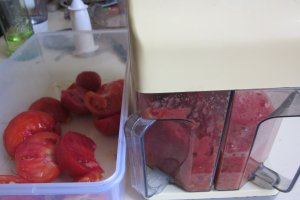 Ketchup Panacris 2