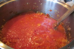Ketchup Panacris 2