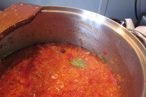 Ketchup Panacris 2