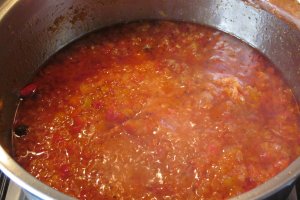 Ketchup Panacris 2