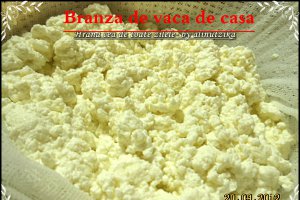 Branza de vaci   -moduri diferite de a face branzica de casa