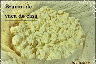 Branza de vaci   -moduri diferite de a face branzica de casa