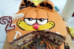 Tort Garfield