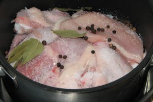 Toba de pui