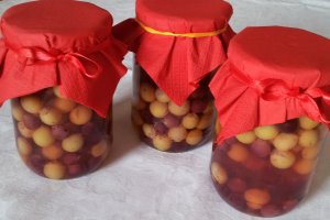 Compot de struguri