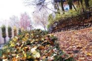 "in scurta ei calatorie..." e timpul pentru poezie