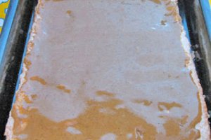 Tort cu crema de ness