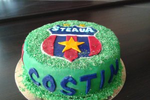 Tort stelist