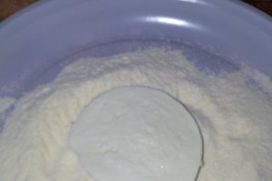 Mozzarella pane.