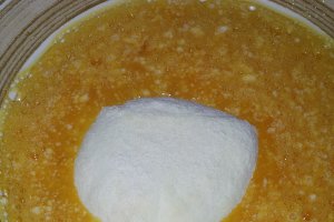 Mozzarella pane.