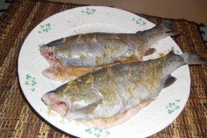 Pastrav in crusta de malai