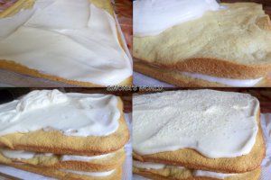 Prajitura cu crema de vanilie si nuca de cocos