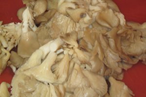 Pulpa de porc cu pleutorus