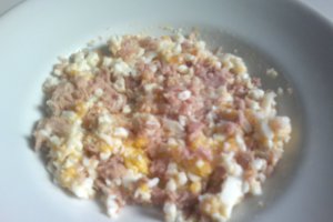 Tartine cu ton si ou