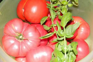 Ketchup de casa
